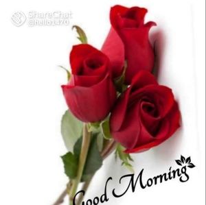 Meet your Posher, Lakshmi